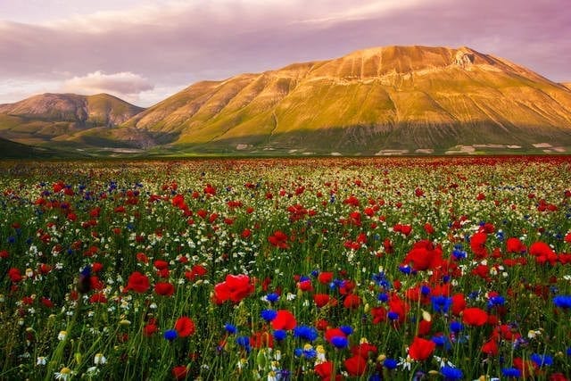 castelluccio umbria