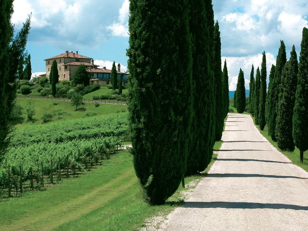 viale Relais Todini